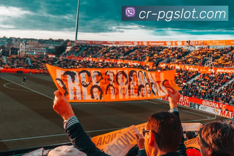 麻将胡了PG电子官网APP 封面图